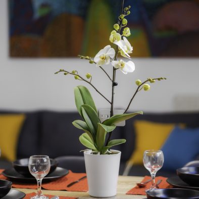 Candia maisonette heraklion apartment for rent dining table