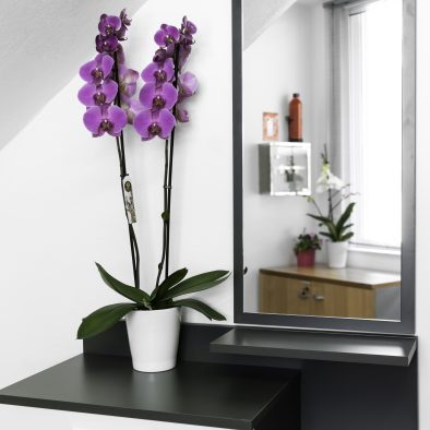 Candia maisonette heraklion apartment for rent